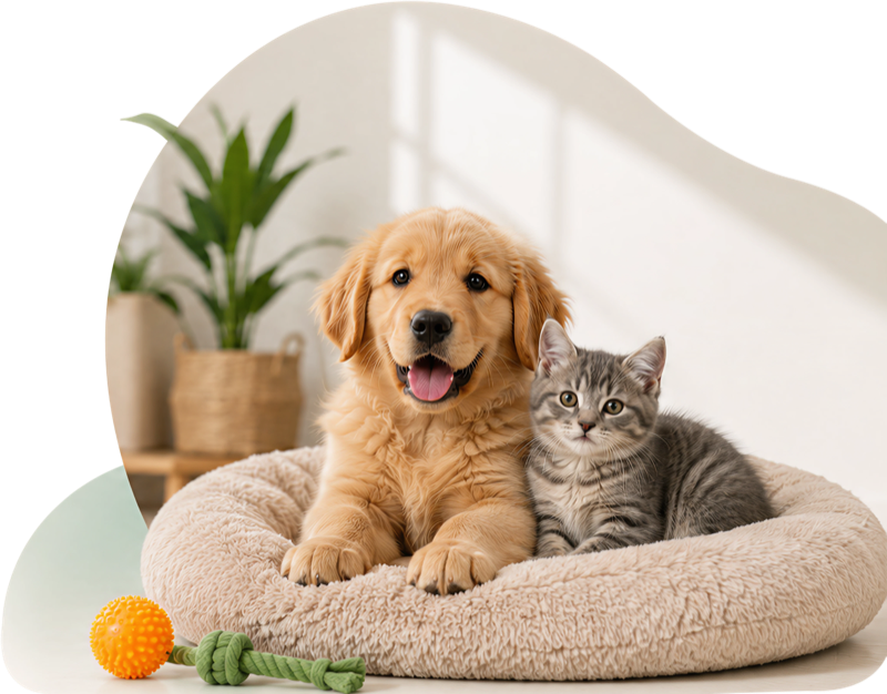 Happy Dogs and Cats